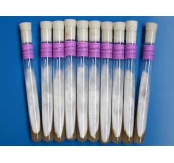 天麻萌發(fā)菌母種、原種、栽培種