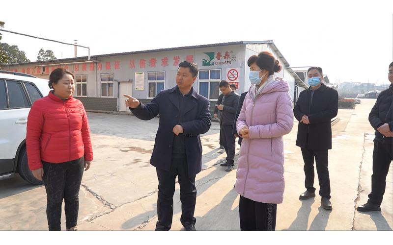 西鄉(xiāng)縣委副書(shū)記、縣長(zhǎng)王亞珍調(diào)研農(nóng)業(yè)產(chǎn)業(yè)發(fā)展工作